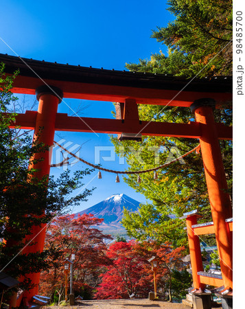 10月山梨・富士吉田 富士山と新倉山浅間神社の鳥居と紅葉 10月山梨・富士吉田 富士山と新倉山浅間神社の鳥居と紅葉 98485700
