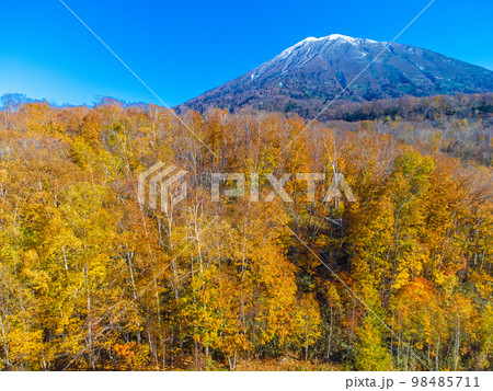 10月北海道・倶知安町 羊蹄山(蝦夷富士)と半月湖自然公園の紅葉 10月北海道・倶知安町 羊蹄山(蝦夷富士)と半月湖自然公園の紅葉 98485711