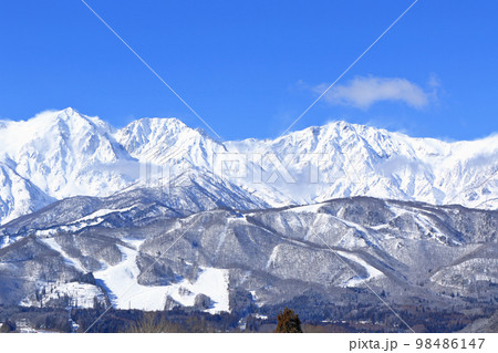 冬の白馬　野平から望む快晴の北アルプス 98486147