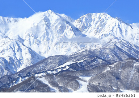 冬の白馬　野平から望む快晴の北アルプス 98486261