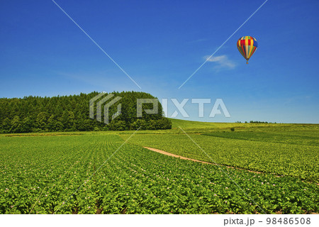 北海道の美しい田園風景 北海道の美しい田園風景 98486508
