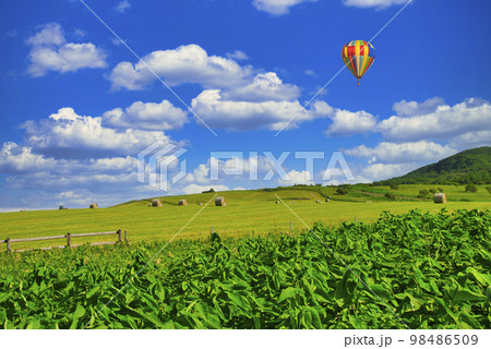 北海道の美しい田園風景 98486509