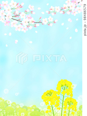 桜と菜の花と蝶々 サクラ 青空 桜と菜の花と蝶々 サクラ 青空 98486579