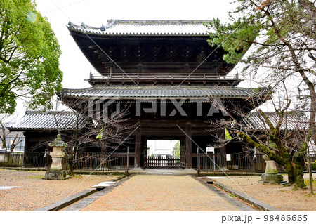 冬の大樹寺 山門 冬の大樹寺 山門 98486665