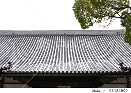 冬の大樹寺 本堂本瓦屋根 冬の大樹寺 本堂本瓦屋根 98486690