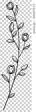 繊細な植物や花のボタニカルイラスト　ベクター素材 98487615