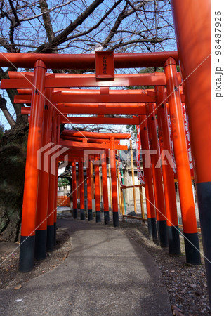 宗像神社(名古屋市)境内社 和徳稲荷社 鳥居2 宗像神社(名古屋市)境内社 和徳稲荷社 鳥居2 98487926