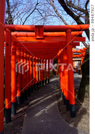 宗像神社(名古屋市)境内社 和徳稲荷社 鳥居1 宗像神社(名古屋市)境内社 和徳稲荷社 鳥居1 98487927