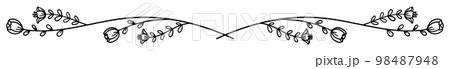 繊細な植物や花のボタニカルライン ベクター素材 繊細な植物や花のボタニカルライン ベクター素材 98487948