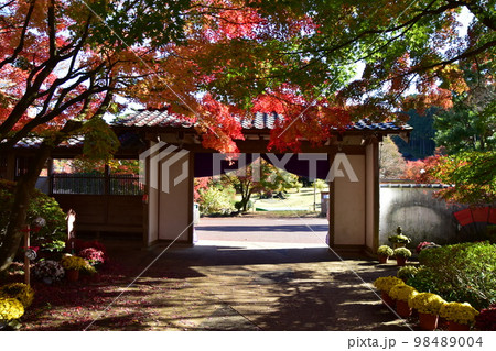 伊豆修善寺 秋の虹の郷は紅葉 伊豆修善寺 秋の虹の郷は紅葉 98489004