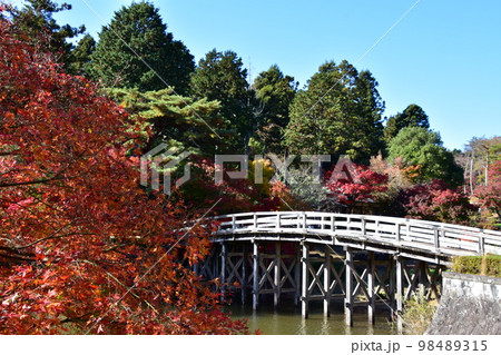 伊豆修善寺 秋の虹の郷は紅葉 伊豆修善寺 秋の虹の郷は紅葉 98489315
