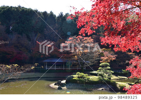 伊豆修善寺　秋の虹の郷は紅葉 98489325
