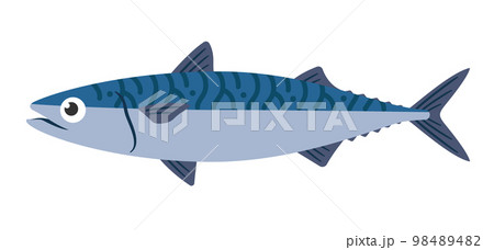鯖魚插圖-插圖素材[98489482] - PIXTA圖庫