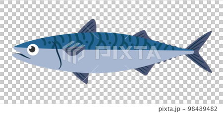 鯖魚插圖 98489482