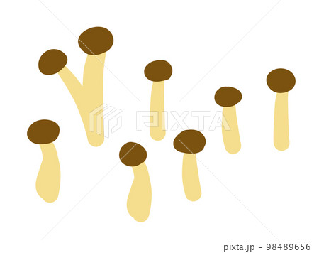 かわいいキノコのシメジのセット／手描きイラスト素材 98489656