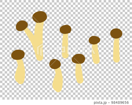 かわいいキノコのシメジのセット／手描きイラスト素材 98489656