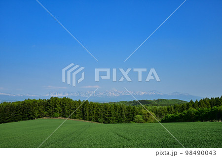 十勝岳連峰 98490043