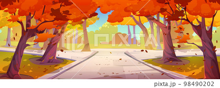 Autumn scenery, city park landscape with trees 98490202
