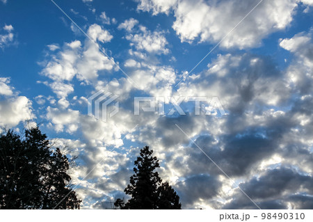 青空の天空に浮く雲の造形 98490310