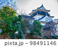 岡崎城 98491146