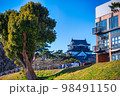 岡崎城 98491150