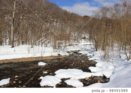 雪解けの川と雑木林の写真素材 [98491989] - PIXTA