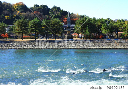 京都府立宇治公園 98492185