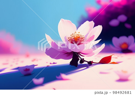 地面に落ちた桜の花 八重桜 段咲 地面に落ちた桜の花 八重桜 段咲 98492681