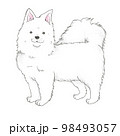 大きな白い犬 98493057