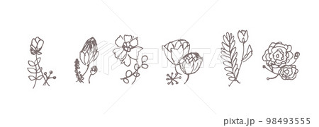 くすみカラーの手書き植物イラスト、ユル可愛い手書きの植物イラスト。植物の線画イラスト。 98493555
