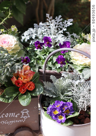 花の寄せ植え&花の寄せ鉢 花の寄せ植え&花の寄せ鉢 98493656