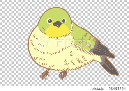 日本白眼的插圖素材 日本白眼的插圖素材 98493864