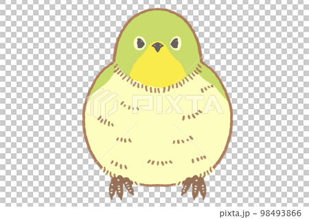 日本白眼的插圖素材 日本白眼的插圖素材 98493866