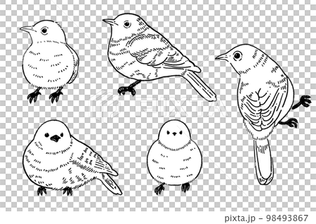 一隻小鳥的線描插圖素材 一隻小鳥的線描插圖素材 98493867