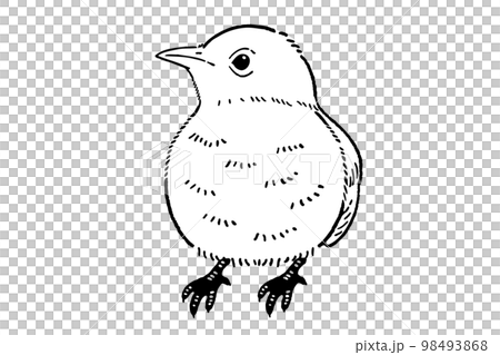 一隻小鳥的線描插圖素材 一隻小鳥的線描插圖素材 98493868