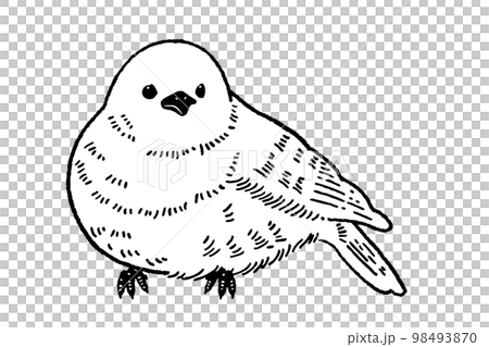 Vector Isolated Small Bird One Line Single Line Drawing. Black Line Art  Sparrow, Robin Beard Drawing. Royalty Free SVG, Cliparts, Vectors, and  Stock Illustration. Image 175058138.