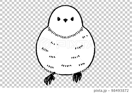 一隻小鳥的線描插圖素材 一隻小鳥的線描插圖素材 98493872