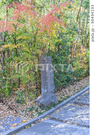 晩秋を歩く 仙台市北山 98494193