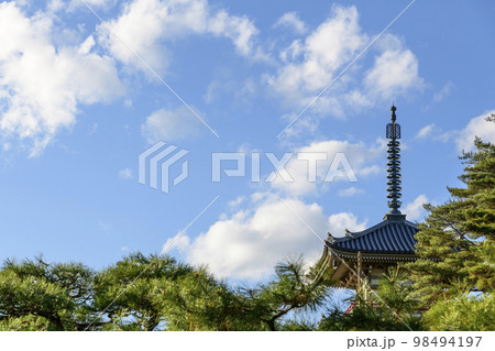 晩秋を歩く 仙台市北山 98494197