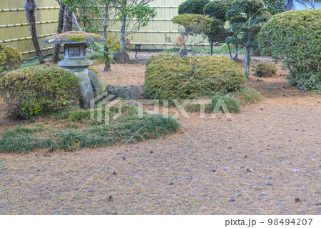 晩秋を歩く 仙台市北山 晩秋を歩く 仙台市北山 98494207