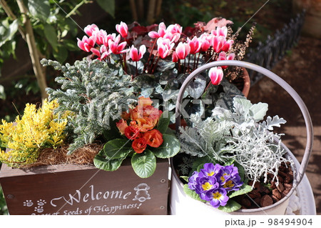 花の寄せ植え＆花の寄せ鉢 98494904