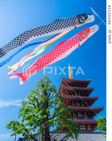 4月東京・浅草　浅草寺の五重塔と鯉のぼり 98495536
