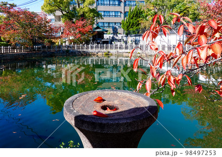 丸池・鏡の池 四天王寺(大阪市天王寺区) 丸池・鏡の池 四天王寺(大阪市天王寺区) 98497253