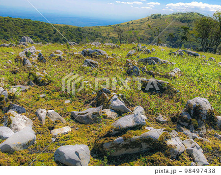 鈴鹿セブンマウンテンの藤原岳登山：藤原岳のカレンフェルト 98497438