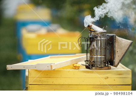Apiarist in his apiary setting a fire in a bee smoker. Beekeeper harvesting honey. Bee smoker is used to calm bees before frame removal. 98498104