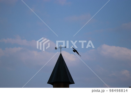 風見の三角屋根から羽ばたく一羽の鳥（おとぎの森公園　※富山県　高岡市） 98498814