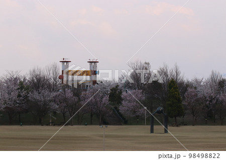 桜咲く春の公園（おとぎの森公園　※富山県　高岡市） 98498822