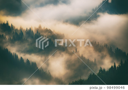 Misty mountain landscape Misty mountain landscape 98499046
