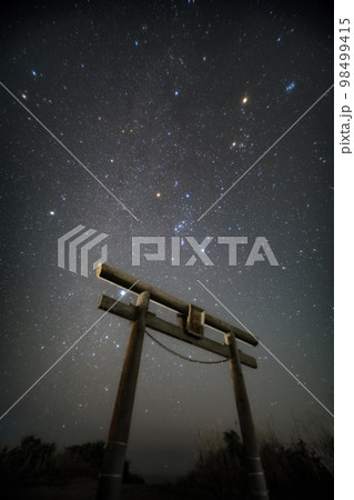 千葉県銚子市　長九郎稲荷神社の鳥居とオリオン座 98499415