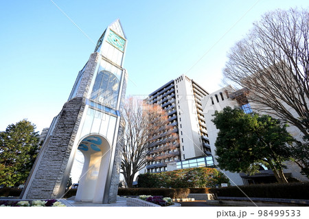 宇都宮市役所/栃木県宇都宮市 宇都宮市役所/栃木県宇都宮市 98499533